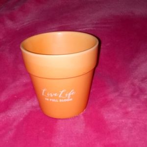 Medium-small "Live Life In Full Bloom"